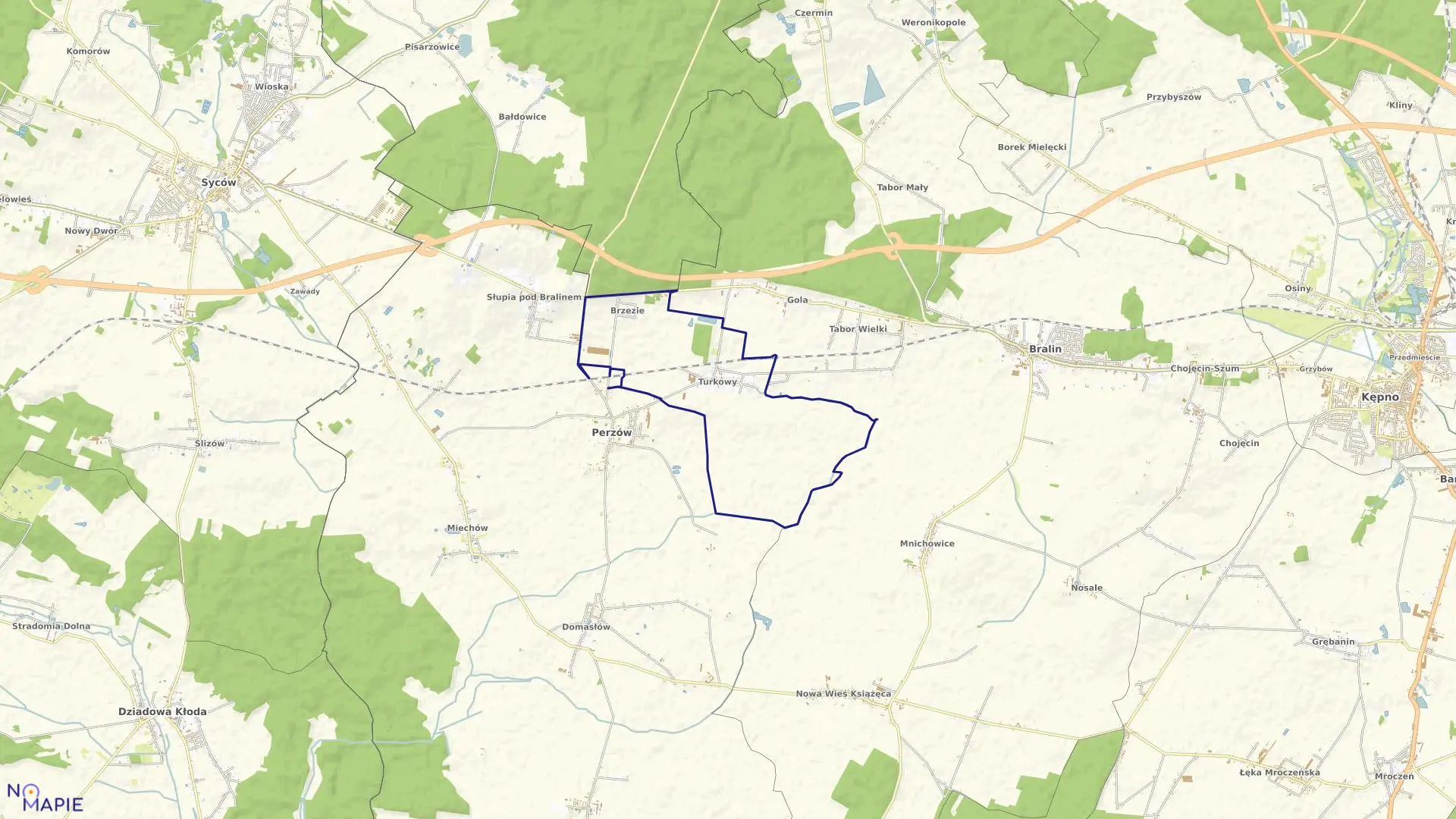 Mapa obrębu TURKOWY w gminie Perzów